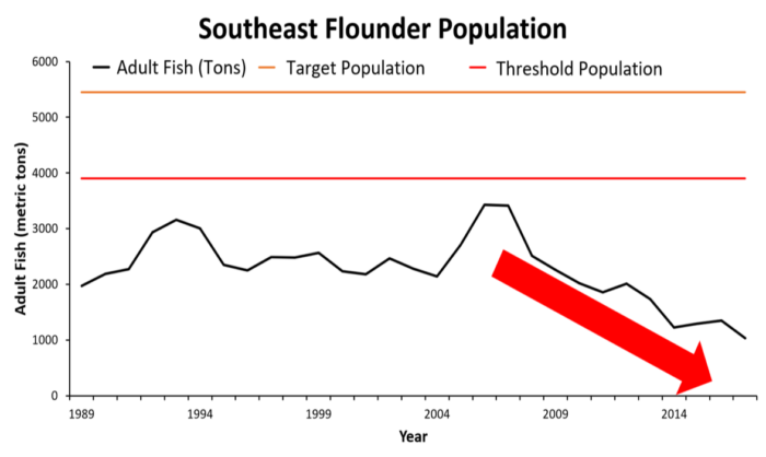 Combined southern flounder data from Florida, Georgia, South Carolina, and North Carolina show that the species has been overfished for decades and is currently at a record low point.