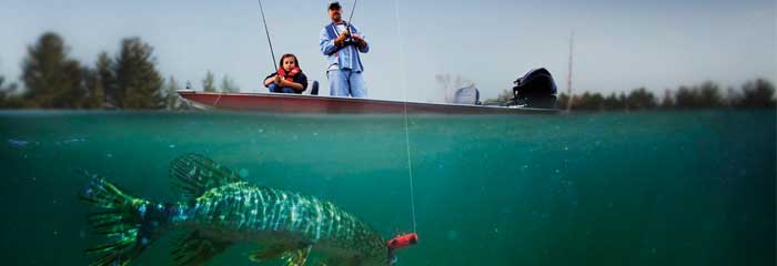 Wisconsin: New Regulations for Archery and Hand Fishing for Catfish