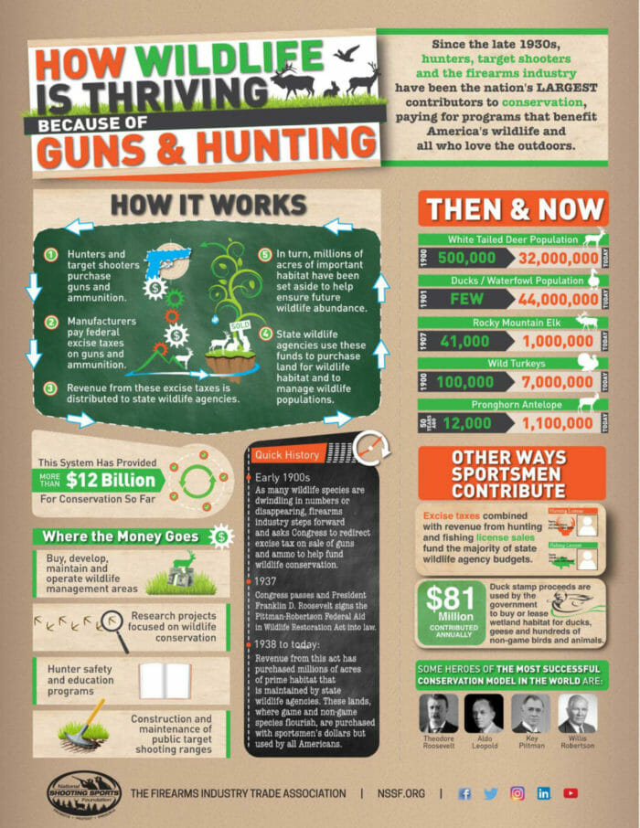 Hunting Infographic