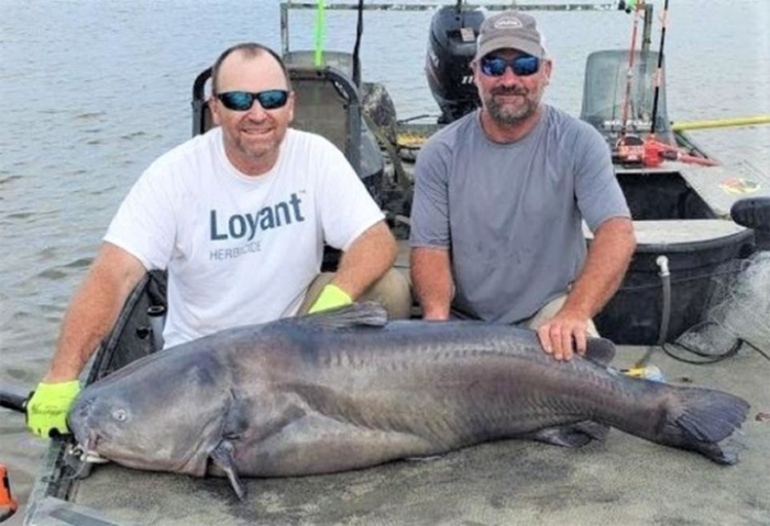 Arkansas Anglers Catch 109 Pound, 15 Ounce Blue Catfish in Mississippi River