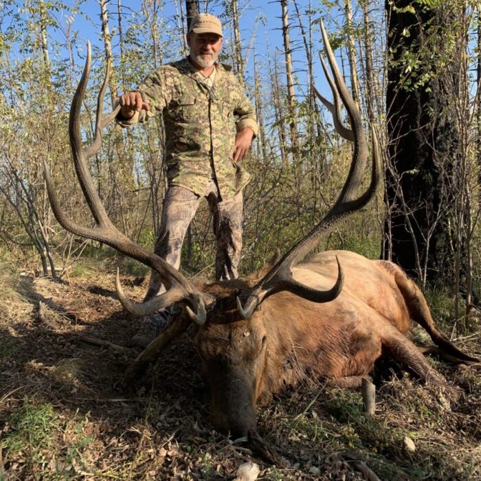 Airgun Hunting Legion Member Takes The Pending Air Archery World Record Rocky Mountain Elk