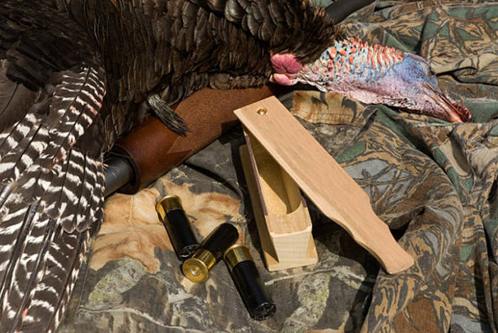 Turkey Hunting