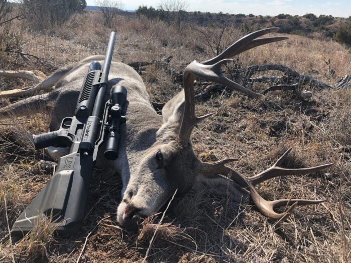 Pending World Record Mule Deer Taken With An Air Rifle