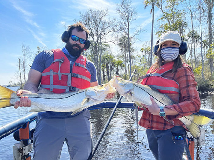 New research, funded in part by Z-Man, suggests an expanding, locally reproducing snook population in northern Florida’s big bend region.