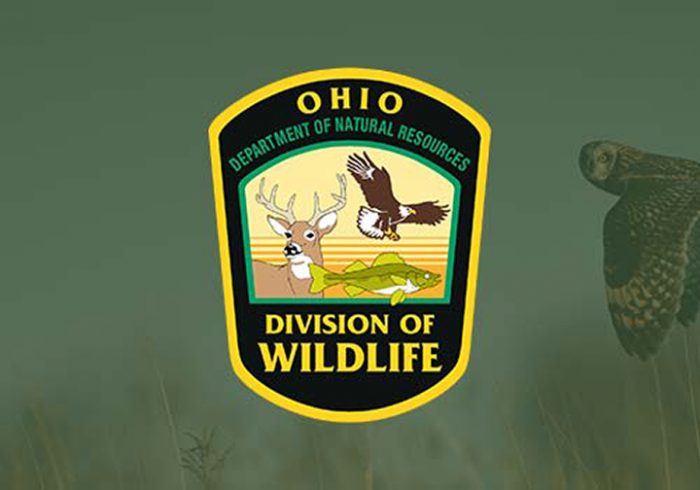 Ohio division of wildlife