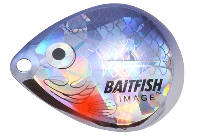 Baitfish-Image Spinner (Colorado)