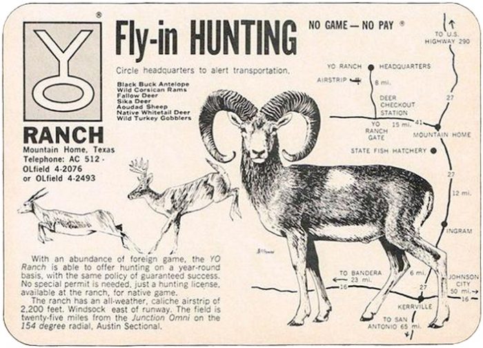 YO Ranch Vintage Hunting Ad