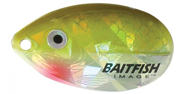 Baitfish-Image spinner (Indiana)