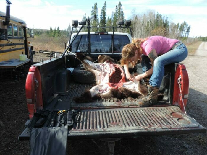 Amanda cleaning a bear on a moose trip with dad