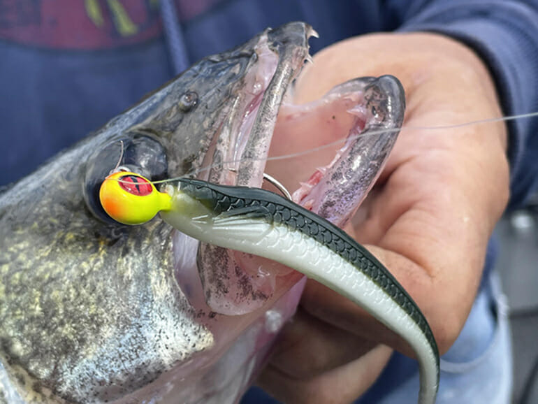 Northland Fishing Tackle's new Tungsten Jig brings a new level of  sensitivity to the live bait and soft plastics game - International  Sportsman