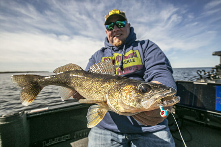Chatterbaits for walleyes, Small river tactics, Massive European perch –  Target Walleye