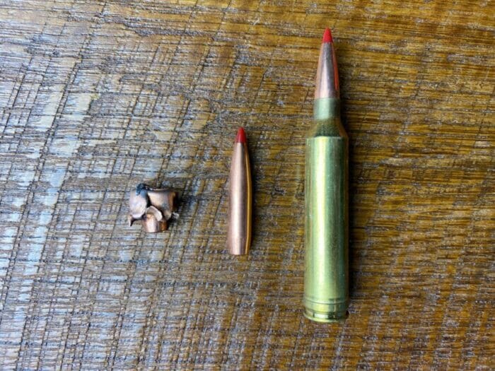 7mm cartridge, unfired 162-grain Hornady ELD-X bullet and ELD-X bullet recovered from Mountain Zebra