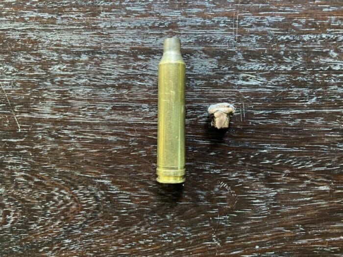 7mm Hornady ELD-X bullet removed from Sable bull