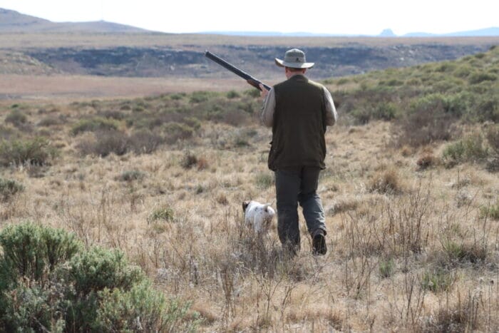 Bird Safaris for Individuals and Groups may Include hunting over Dogs for Upland Gamebirds
