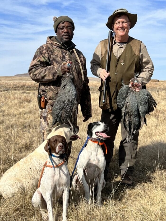 Bird safaris for individuals and groups may Include using dogs for Driven Guinea Fowl shoots.