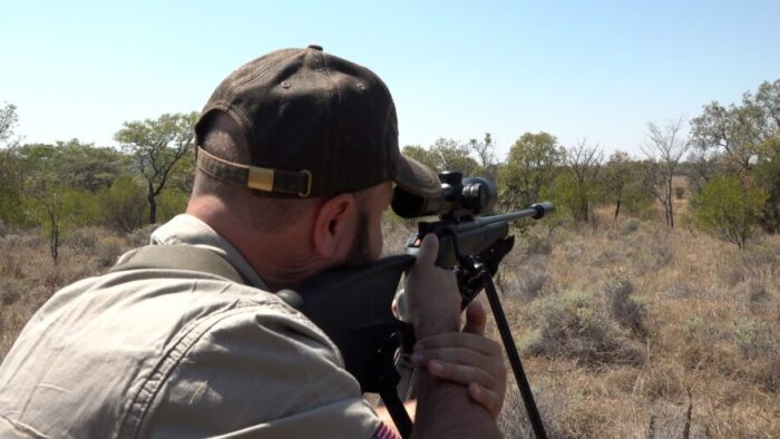 My view through the tree cover for a shot on the Blue Wildebeest.