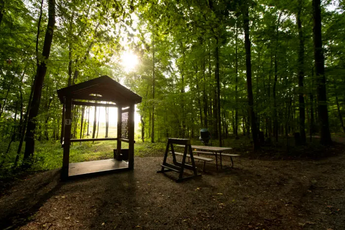 The Halter Sporting Clays course shows its early morning beauty