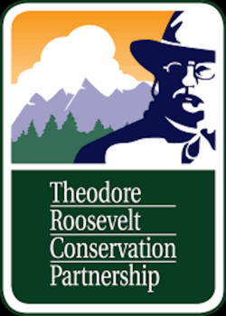 Theodore Roosevelt Conversation Partnership Logo